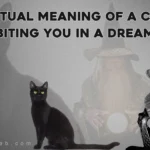 spiritual meaning of a cat is biting you in a dream