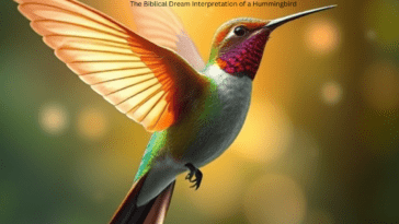 the biblical meaning of a hummingbird dream