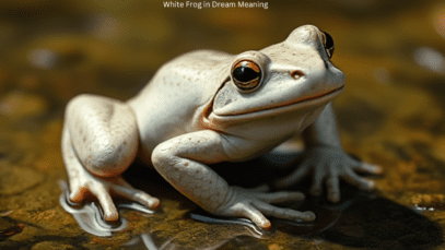 white frog in dream meaning